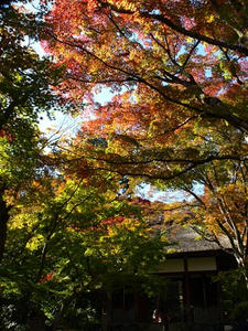 PB131441shuusei.JPG