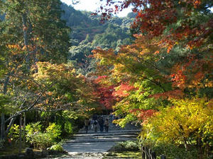 PB131490shuusei.JPG