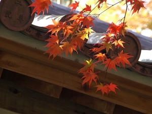 PB131496shuusei.JPG