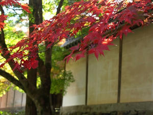 PB131498shuusei.JPG