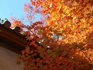 PB131524shuusei.JPG