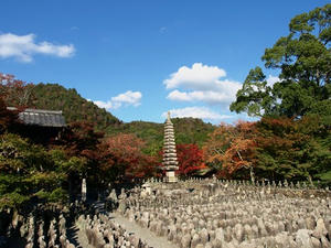 PB131573shuusei.JPG