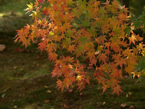 PB131568shuusei.JPG
