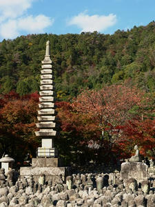PB131571shuusei.JPG