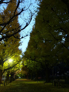PC033190shuusei.JPG