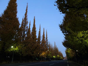 PC033194shuusei.JPG
