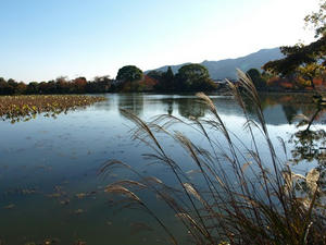PB131641shuudei.JPG