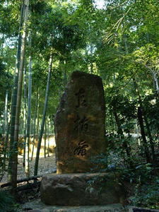 PB131650shuusei.JPG