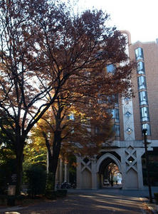 PC033262shuusei.JPG