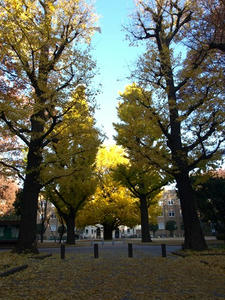 PC033247shuusei.JPG