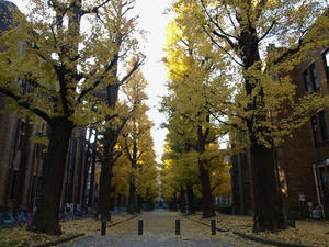 PC033257shuusei.JPG