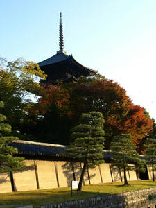 PB262314shuusei.JPG