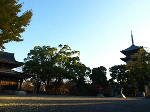PB262318shuusei.JPG