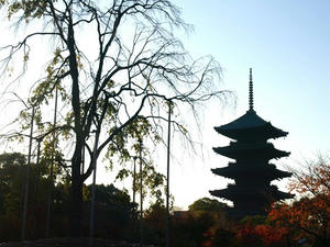 PB262320shuusei.JPG