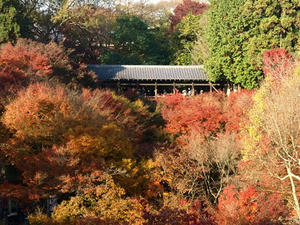 PB262342shuusei.JPG