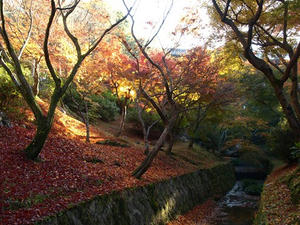 PB262349shuusei.JPG