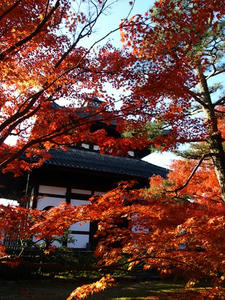 PB262360shuusei.JPG
