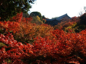PB262386shuusei.JPG