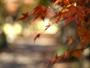 PC033325shuusei.JPG