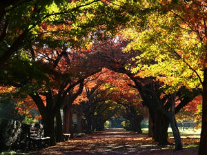 PC033302shuusei.JPG
