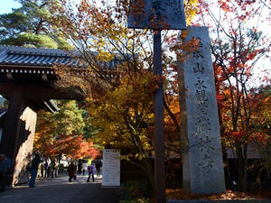 PB262390shuusei.JPG