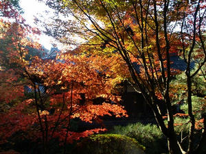 PB262402shuusei.JPG