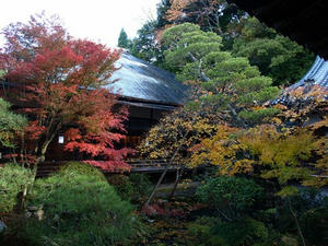 PB262411shuusei.JPG