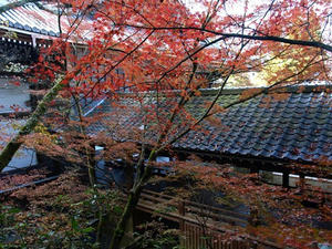 PB262429shuusei.JPG