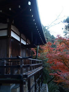 PB262432shuusei.JPG