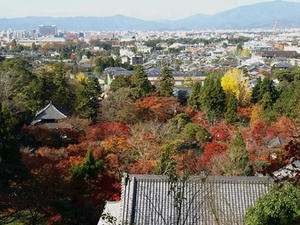 PB262435shuusei.JPG
