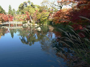 PB262447shuusei.JPG