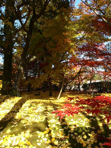 PB262459shuusei.JPG