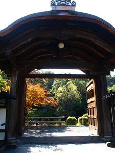 PB262540shuusei.JPG