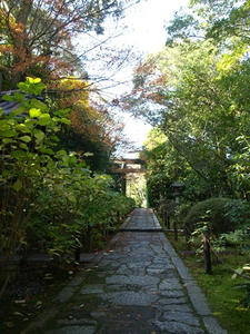 PB262544shuusei.JPG