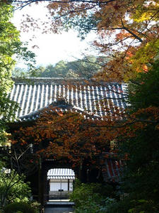 PB262546shuusei.JPG