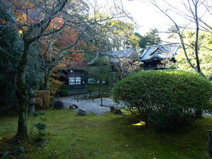 PB262547shuusei.JPG