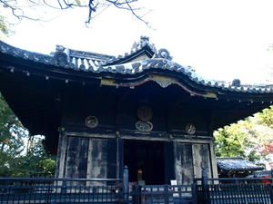 PB262551shuusei.JPG