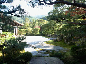 PB262554shuusei.JPG