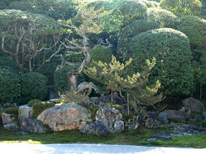 PB262560shuusei.JPG