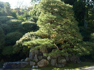 PB262561shuusei.JPG