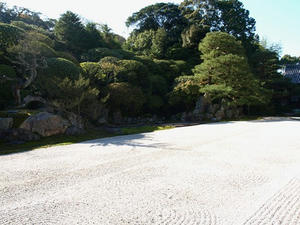 PB262558shuusei.JPG