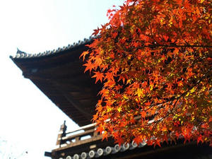 PB262482shuusei.JPG