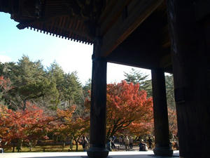 PB262535shuusei.JPG