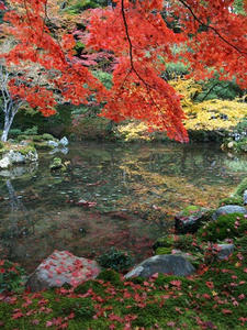 PB262505shuusei.JPG