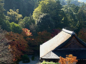 PB262524shuusei.JPG