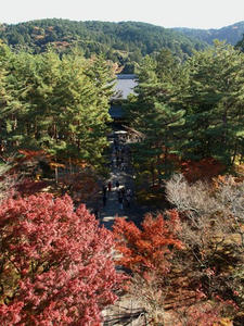 PB262526shuusei.JPG