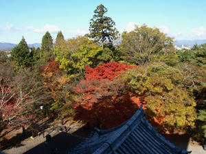 PB262527shuusei.JPG