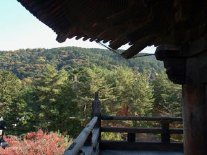 PB262528shuusei.JPG