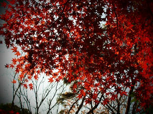 PC210338shuusei.JPG