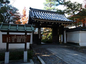 PB262567shuusei.JPG
